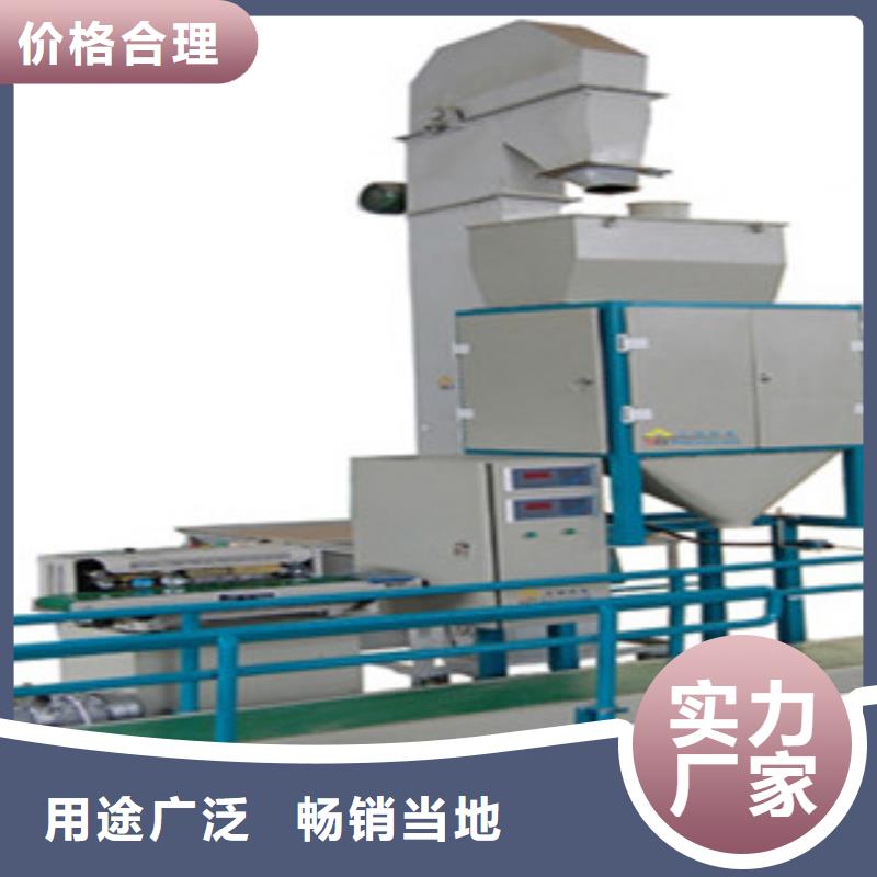 核心技术(鲁义)碳酸粉自动计量包装机生产厂家卓越服务
