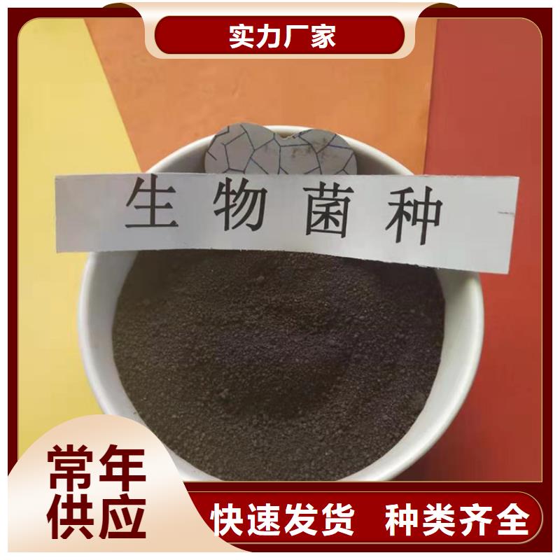 福建泉州现货｜哪里有卖黑臭河道治理菌种（规格价格）北京开碧源欢迎您