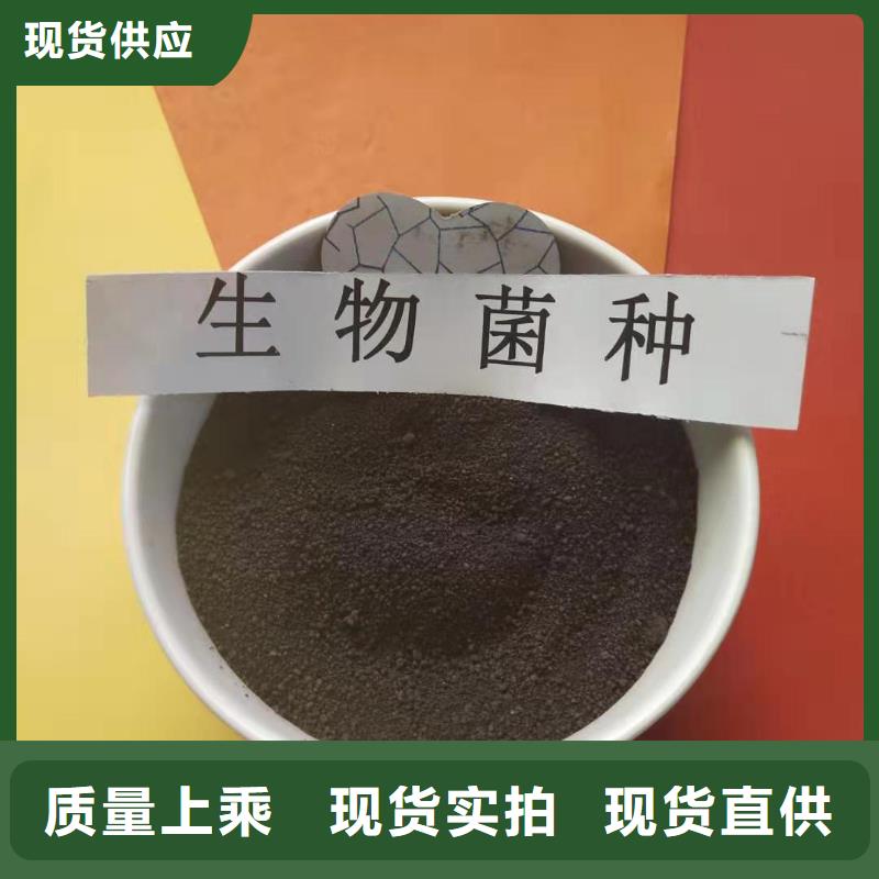 《威海》同城文登｜哪里有卖耐低温水处理菌种

（


今日报价


）北京开碧源欢迎您