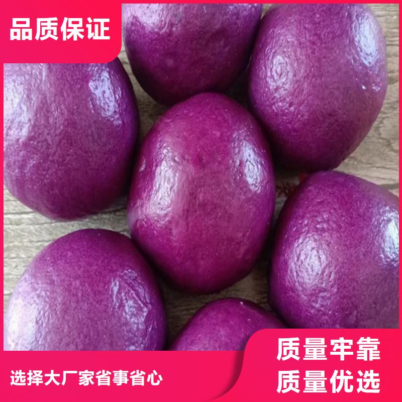 紫薯熟粉加工