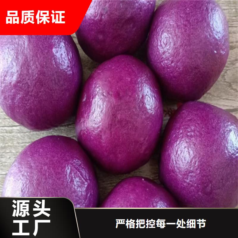 紫薯熟粉厂家直供