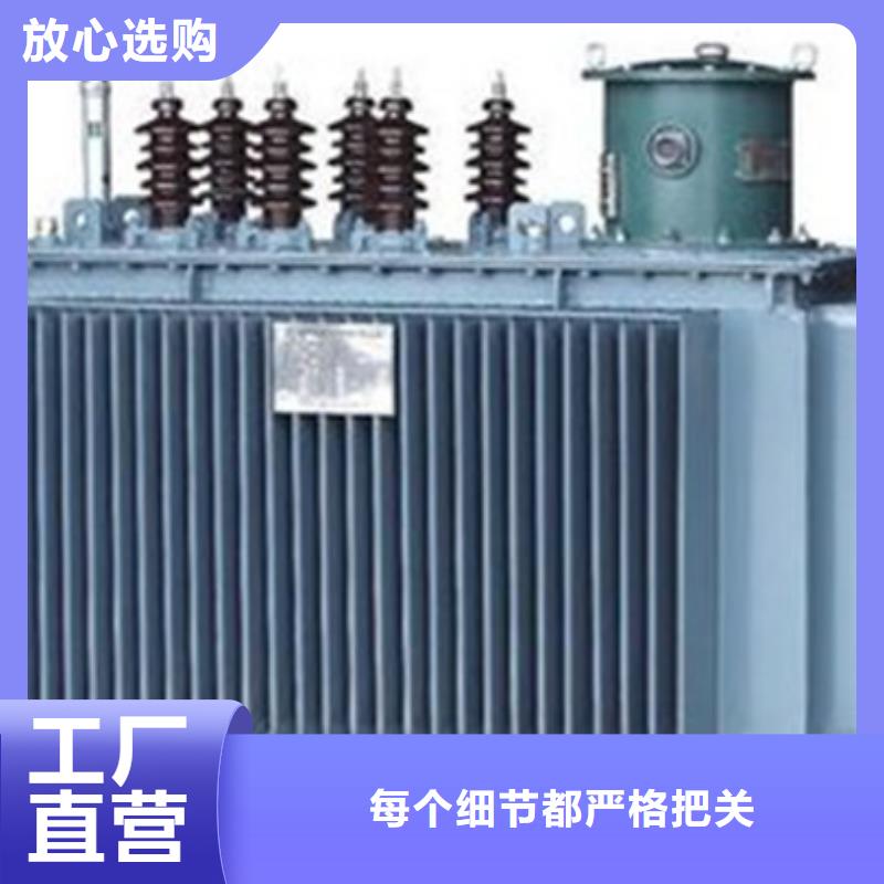 漯河直销100KVAS11/S13油浸式电力变压器规格