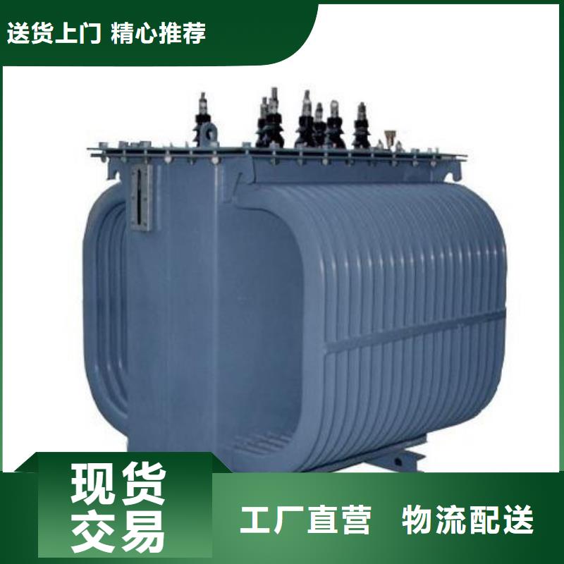 【南阳】本土63KVAS11/S13油浸式电力变压器供应商