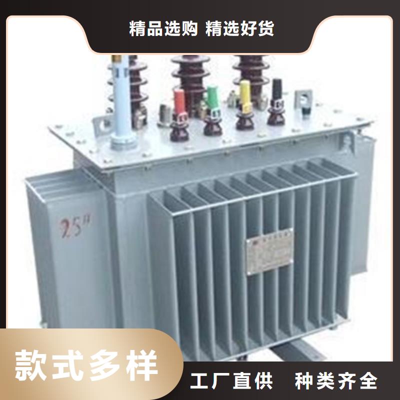 10KV油浸式电力变压器供应商