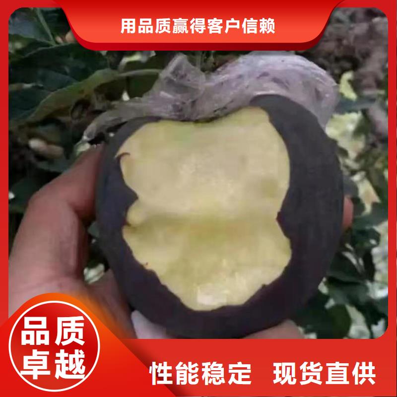 苹果厂家找润鑫苗木种植销售中心品质商家