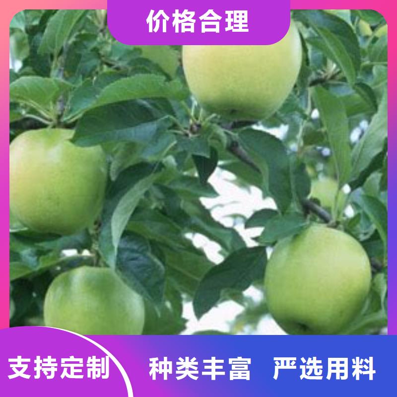 买[润鑫]美八苹果树苗购种苗回收果品