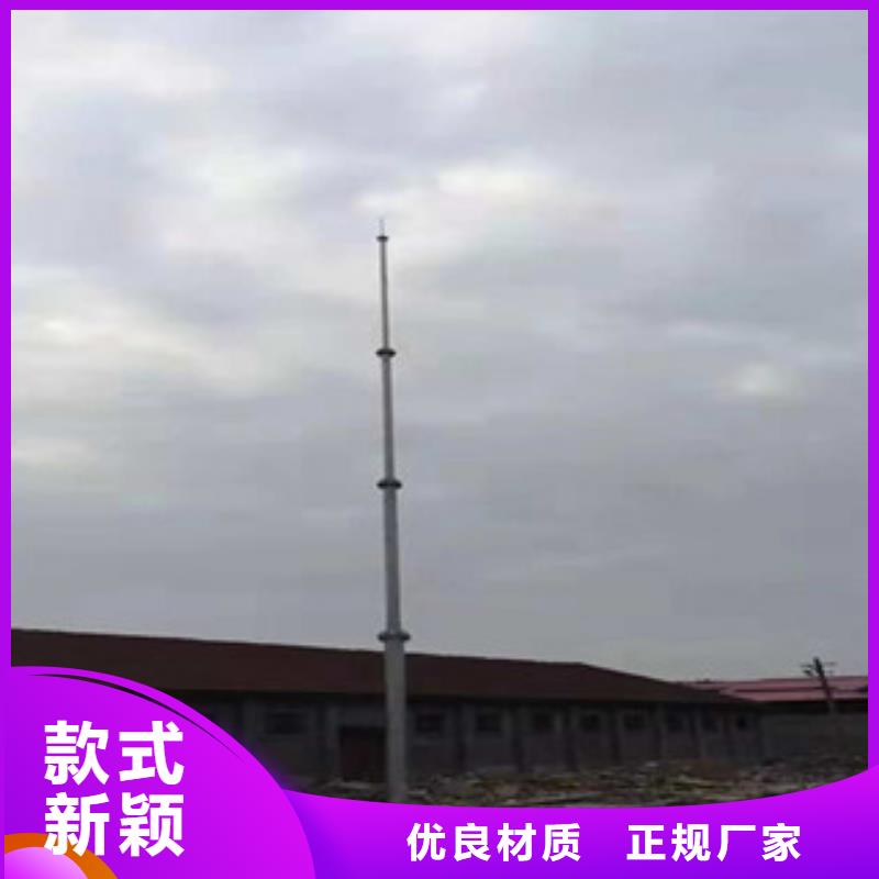54m米避雷针《庆阳》附近定制厂家