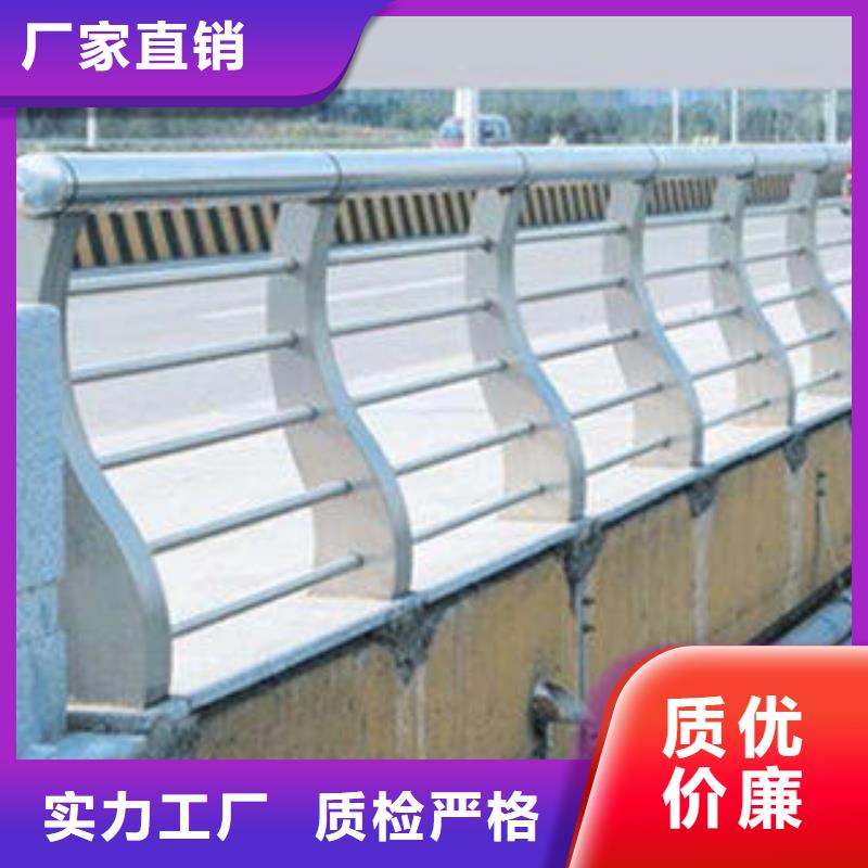 直销[金特力]不锈钢桥梁护栏专业生产