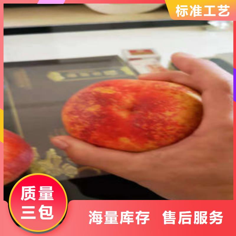 葡萄苗行业品牌厂家