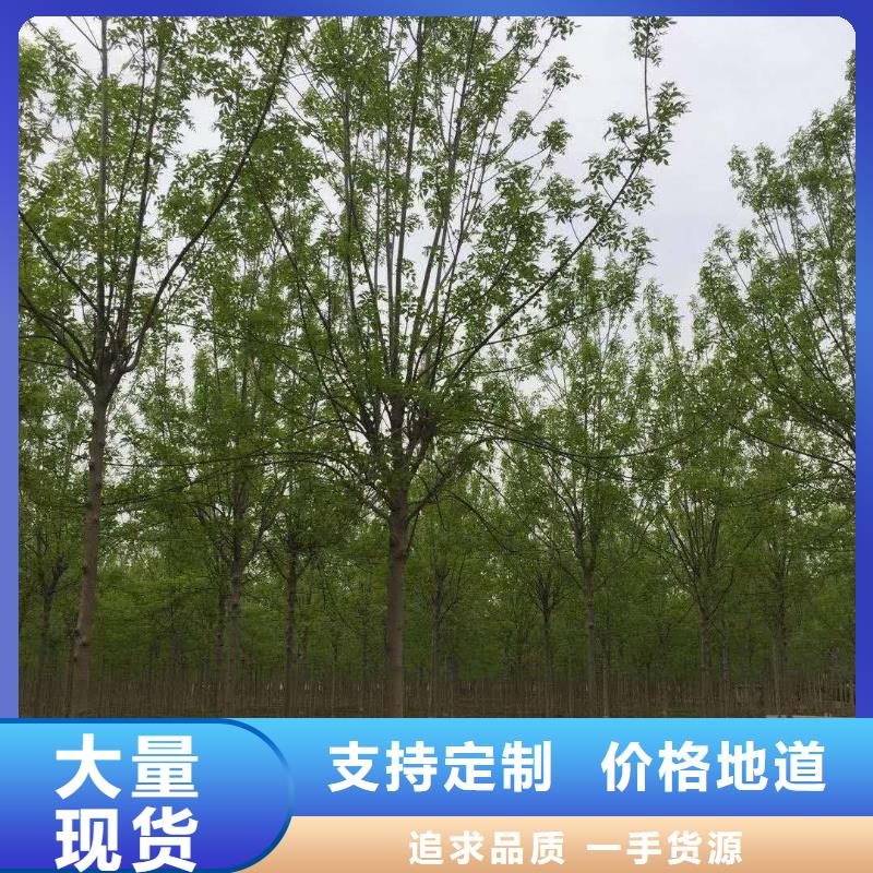 白蜡公司介绍