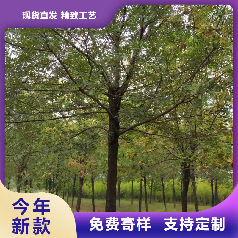 白蜡企业-大厂直销