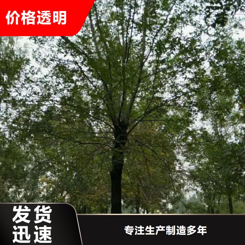 【优选】白蜡源头厂家