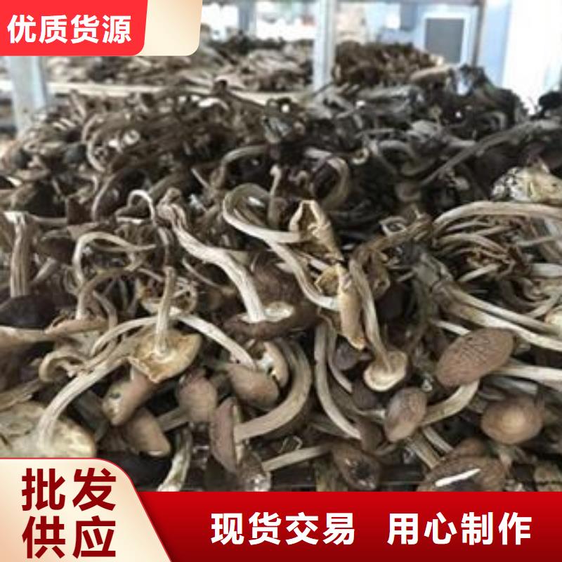 茶树菇烘干机-实力企业优质材料厂家直销