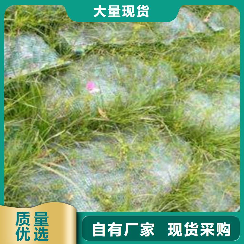 植生袋_[恒路通绿化制品厂]