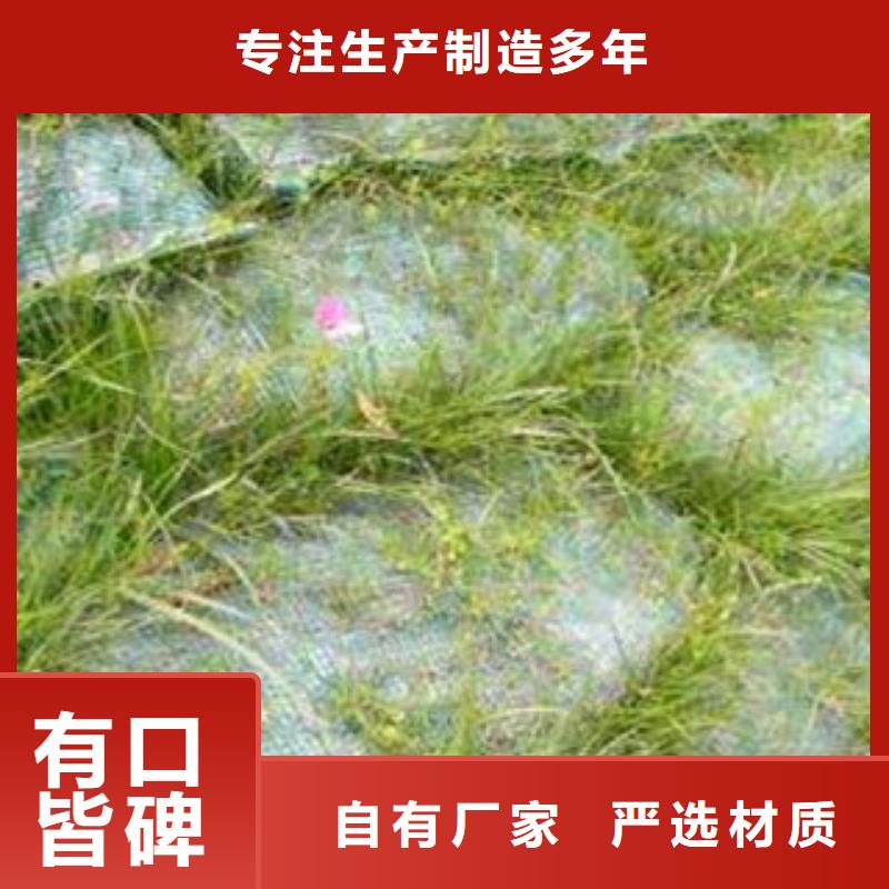 服务周到的植生袋公司规格齐全