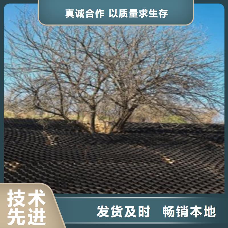 单向拉伸塑料土工格栅价钱