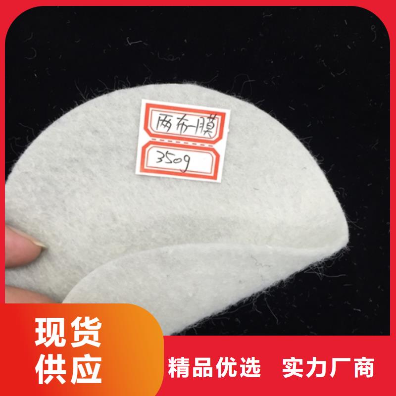 欢迎莅临—高铁聚丙烯土工布