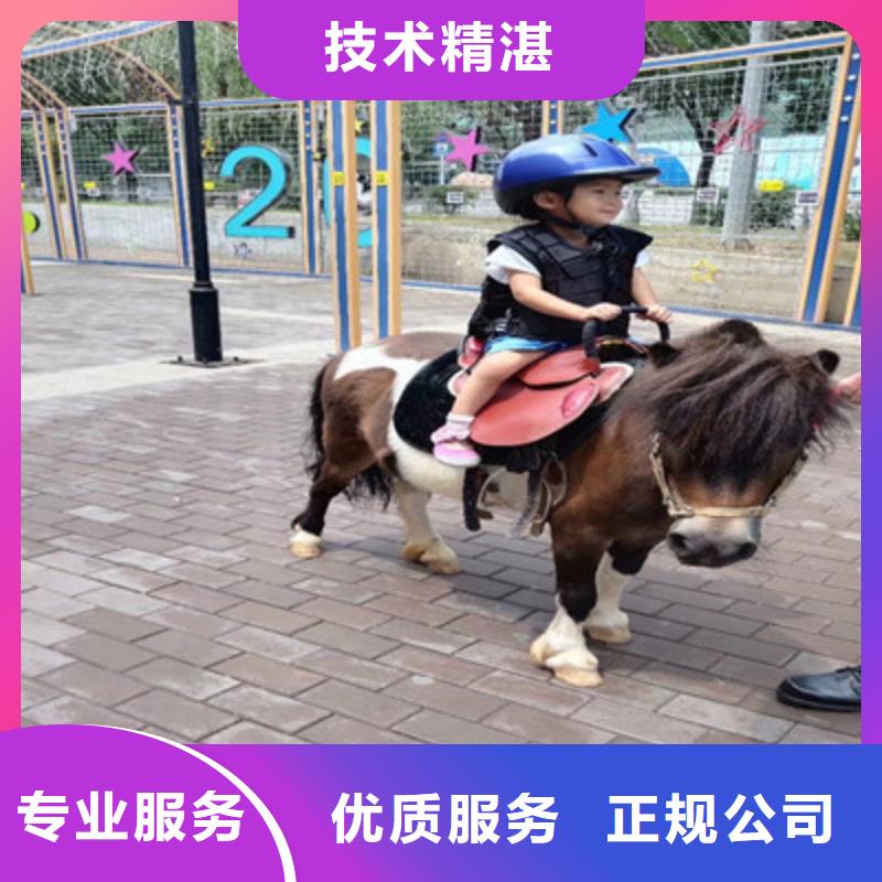 美人鱼表演方案演出公司