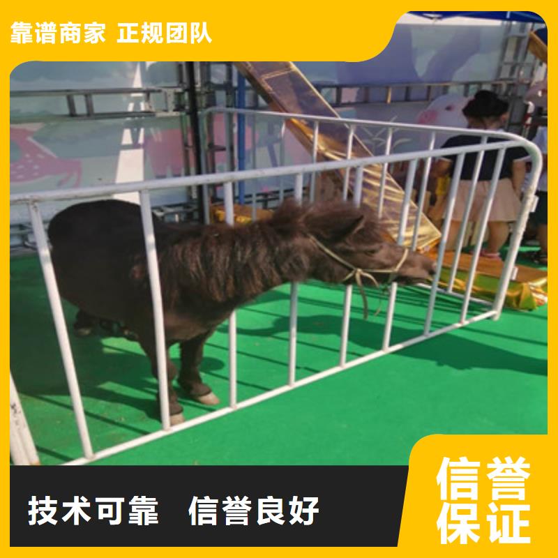 同城室内爬虫展览龙辉萌宠表演