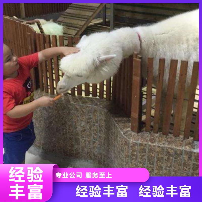 松鼠展鼠类科普展展览
