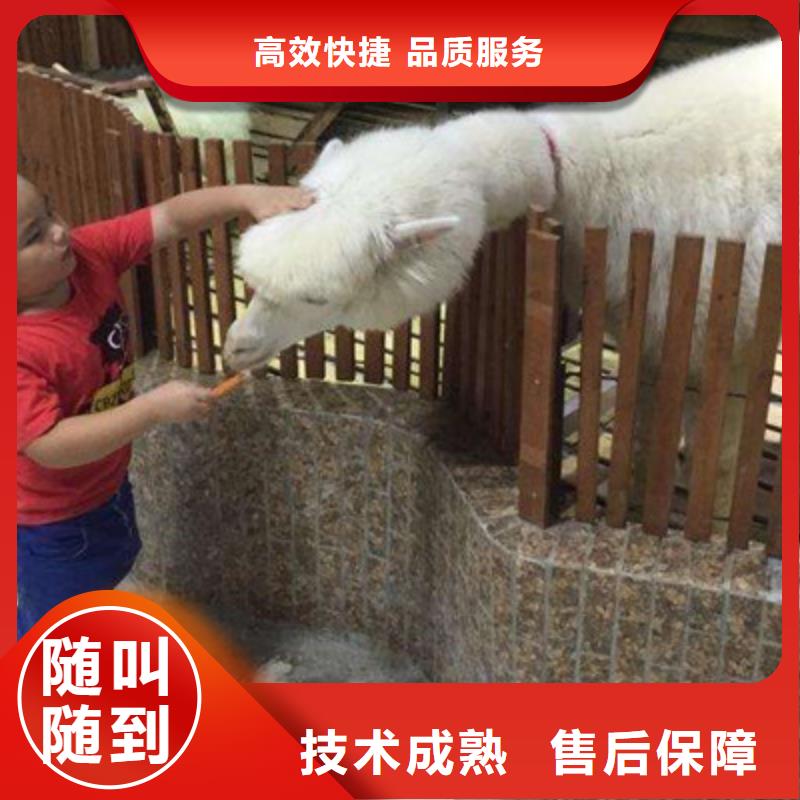 大型海洋鱼缸展览租赁