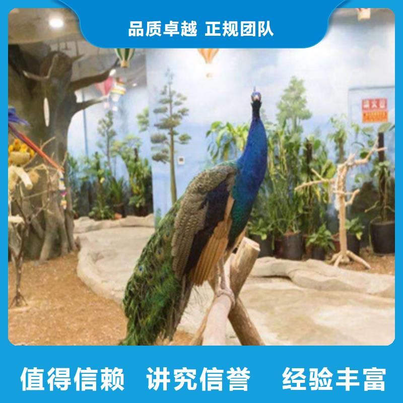 大型海洋鱼缸展览租赁