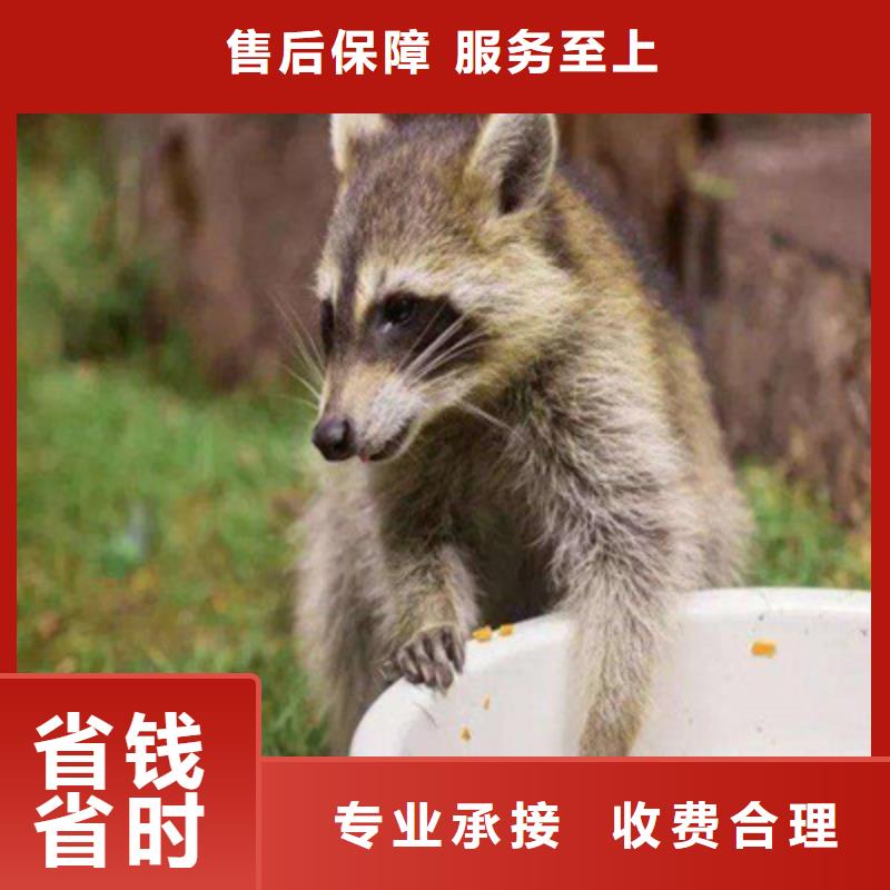 蝴蝶展方案价格案例档期