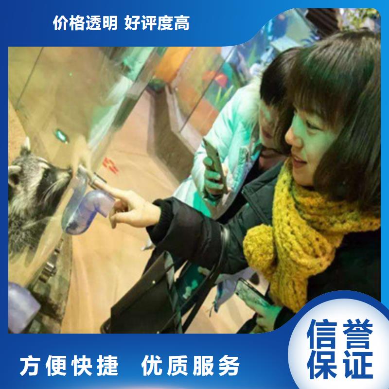 神兽草泥马羊驼租赁出租展览