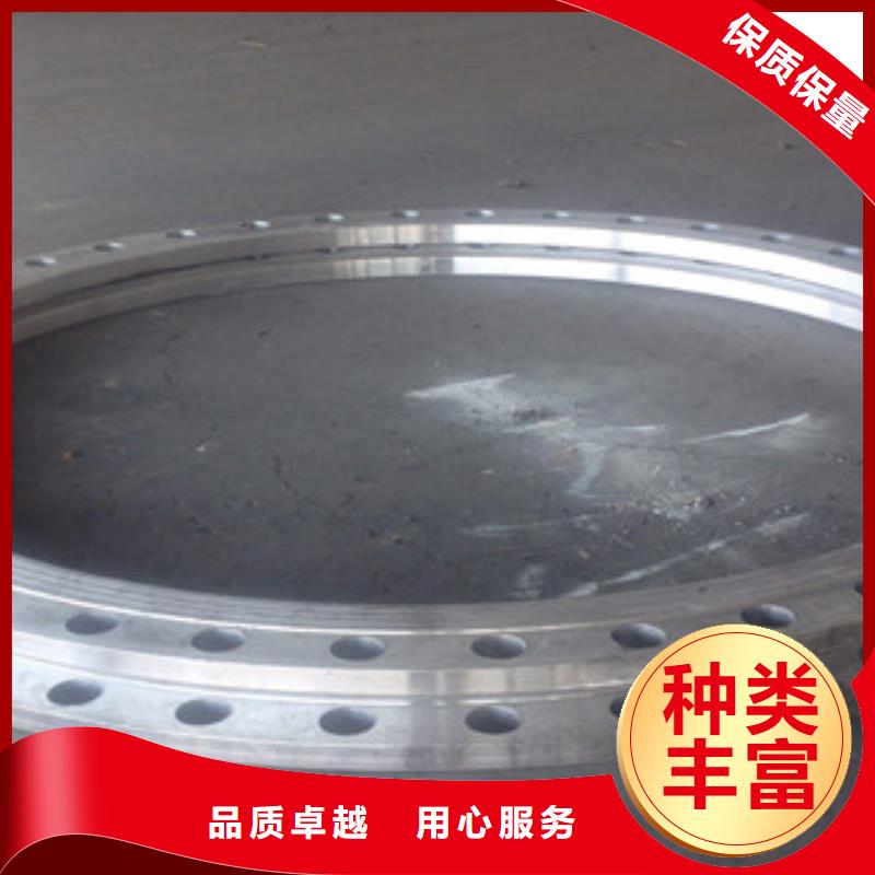 定制各种型号法兰  晟昊