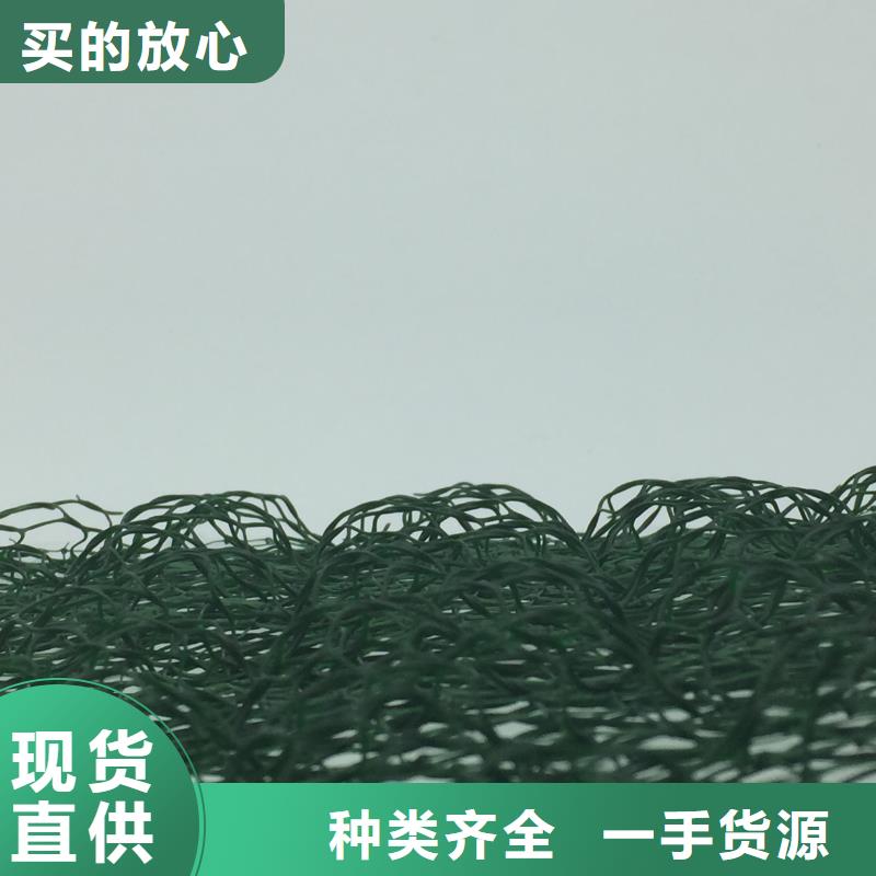聚乙烯土工格室出厂价销售