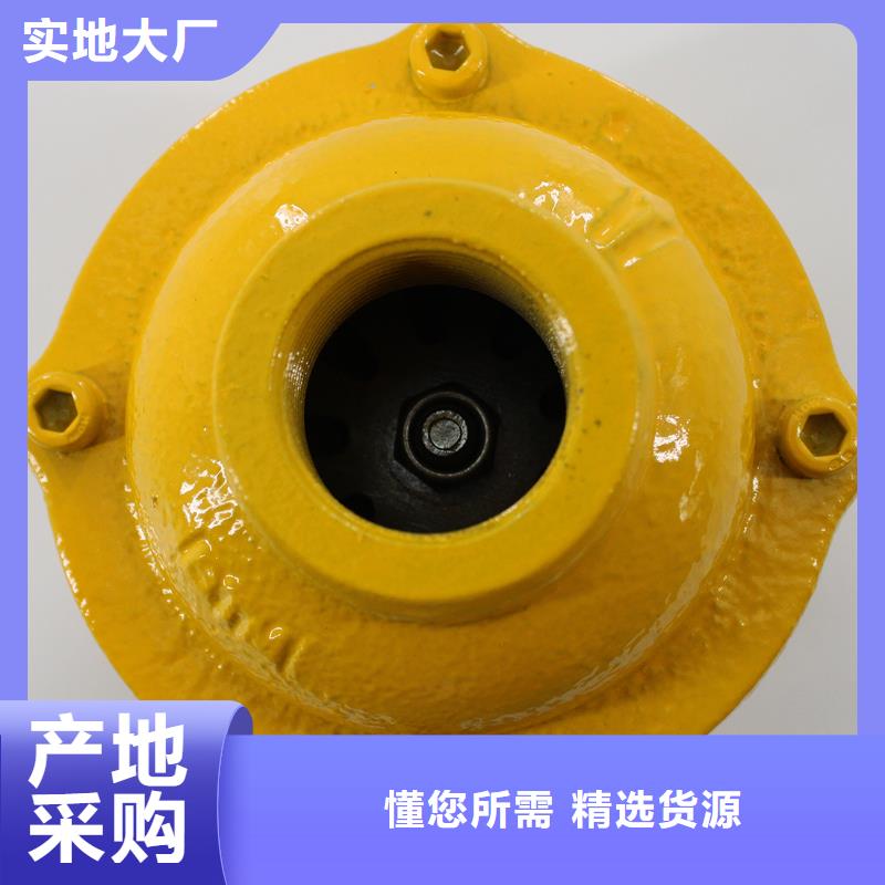 助吹阀组DN25量大从优