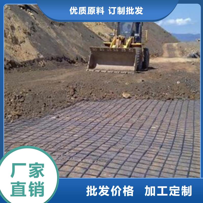 塑料土工格栅加筋加固工厂底价