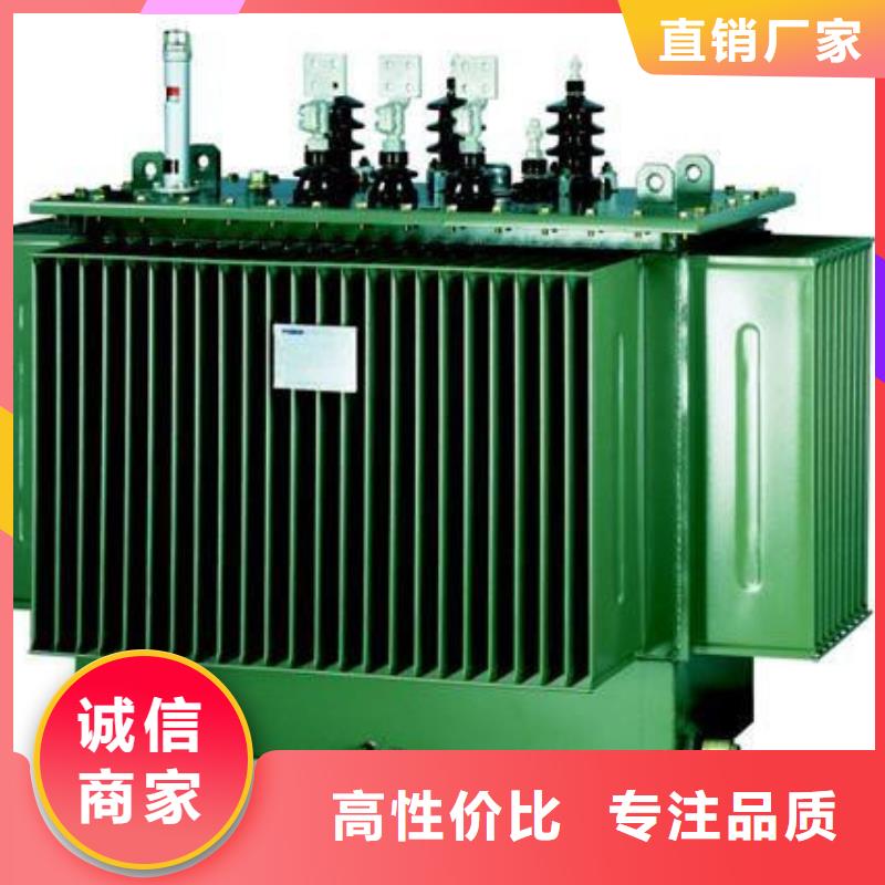 規(guī)格全的油浸式變壓器實(shí)體廠家源廠定制