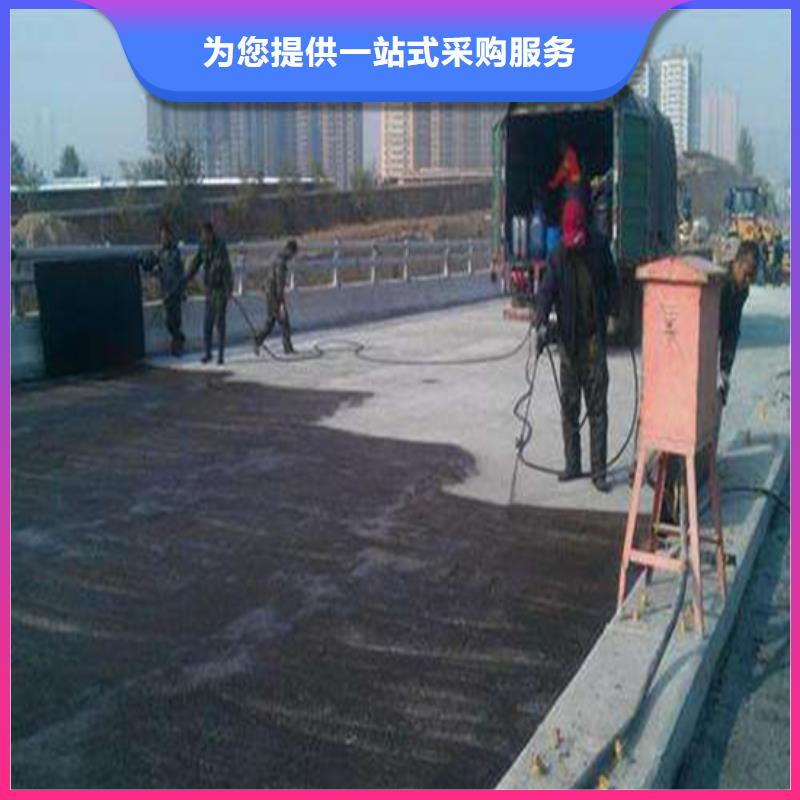 路橋防水高端定制