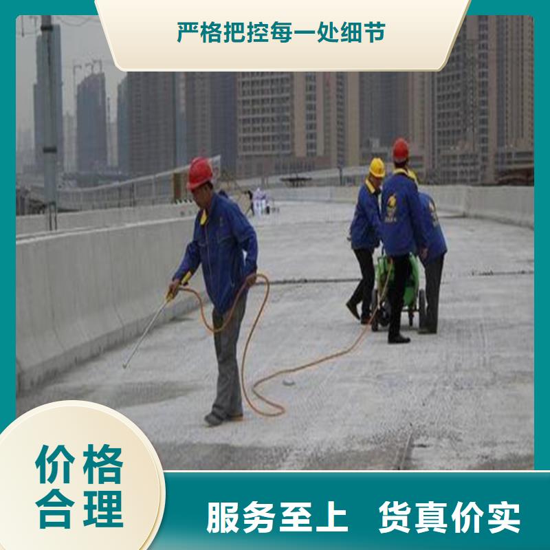 供應(yīng)路橋防水的當?shù)貜S家當?shù)毓?yīng)商
