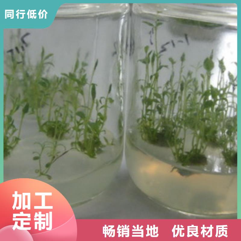 附近藍(lán)莓廠家
