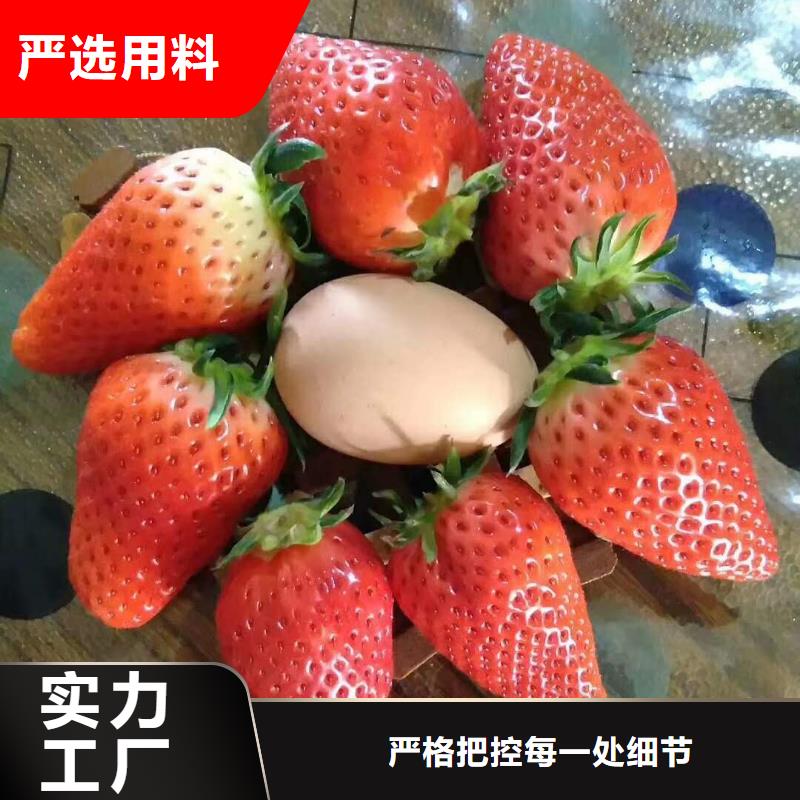 草莓質(zhì)保2年