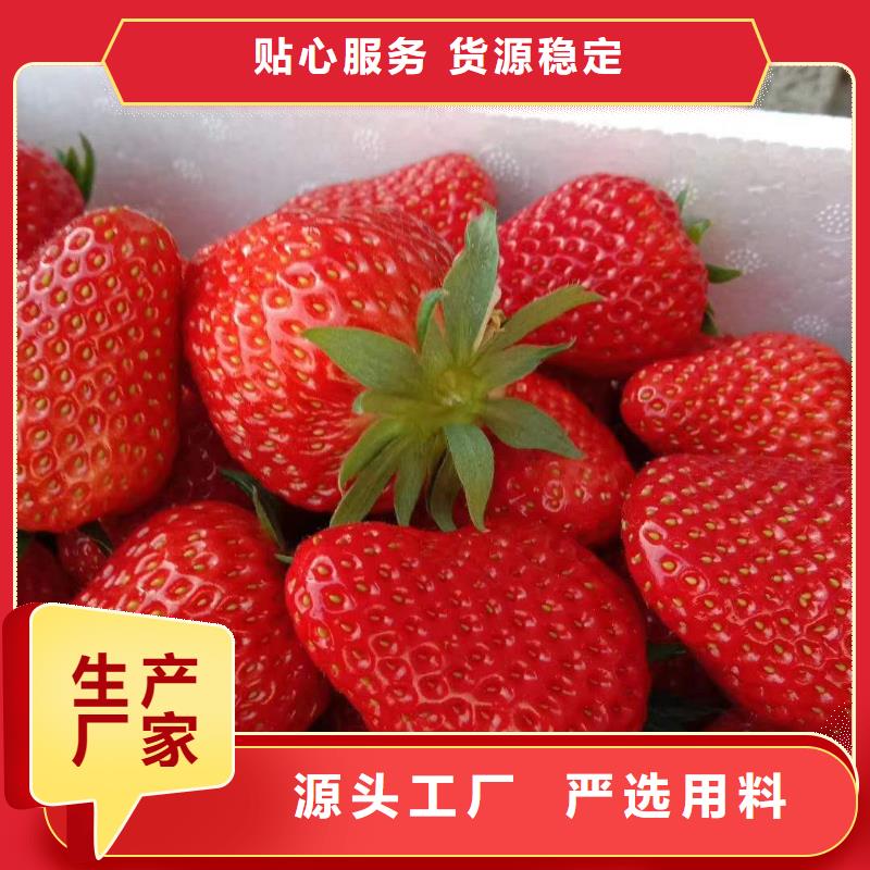 草莓-來電洽談