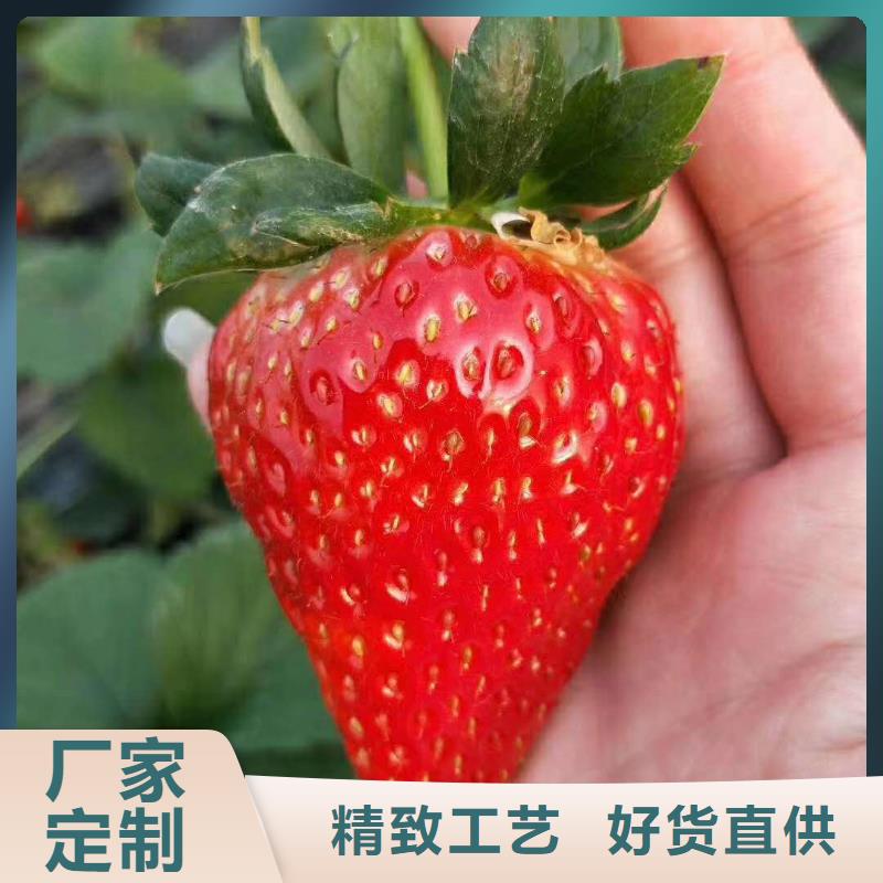 草莓-售后無憂好貨采購