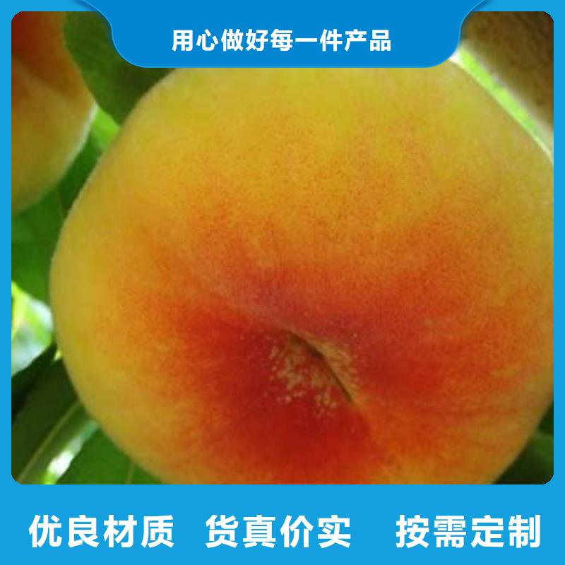 桃樹廠家訂制