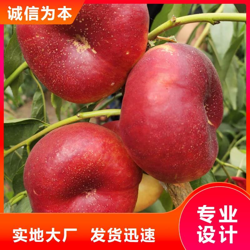 桃樹(shù)鑄造金品現(xiàn)貨直發(fā)