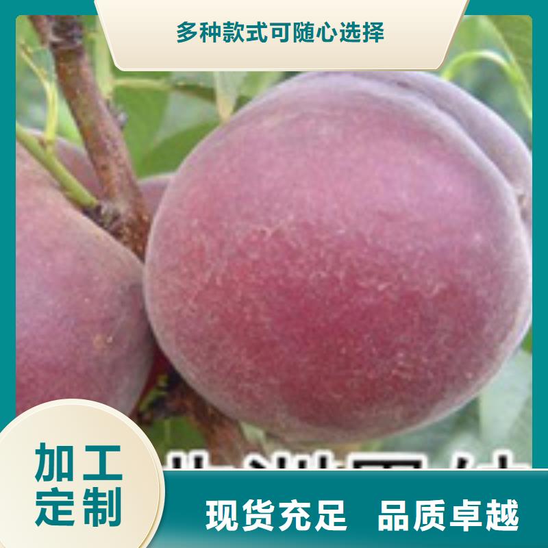 桃樹用途廣