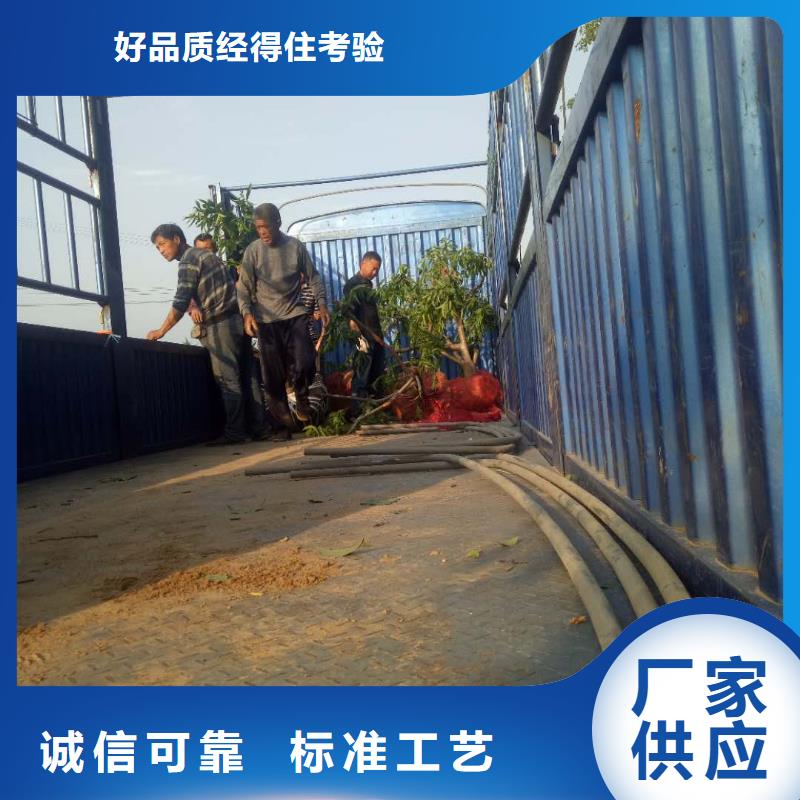 桃樹(shù)比同行節(jié)省10%當(dāng)?shù)胤?wù)商