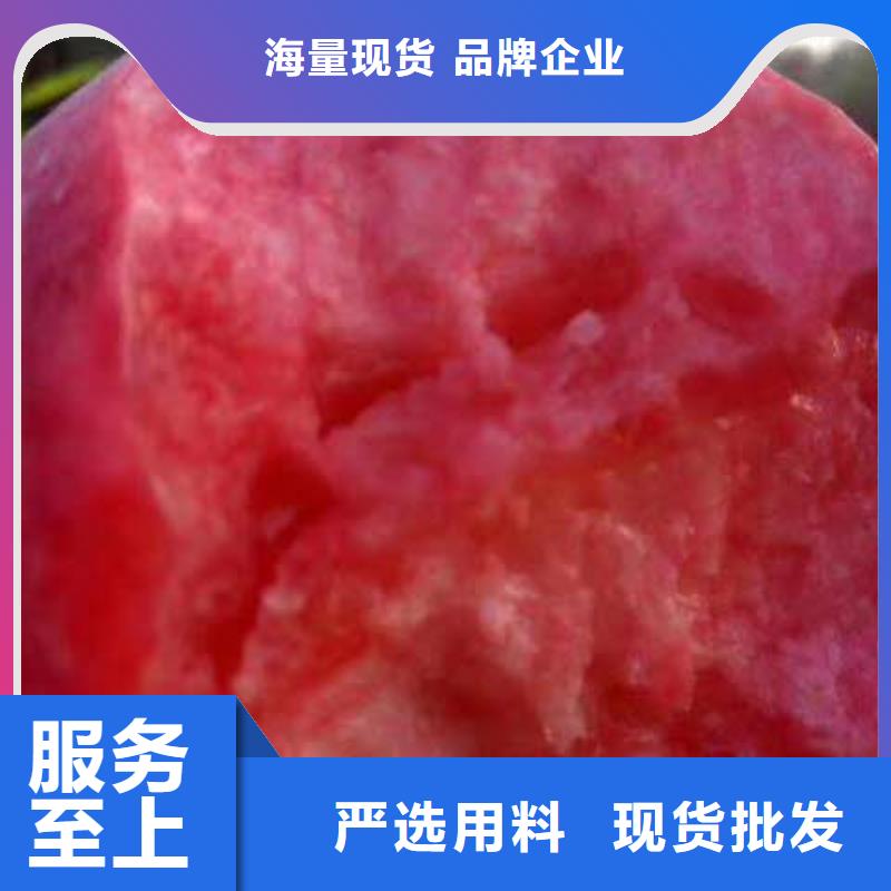 桃樹用途廣