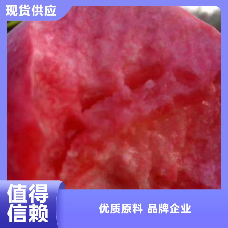 #桃樹#實力強本地服務(wù)商