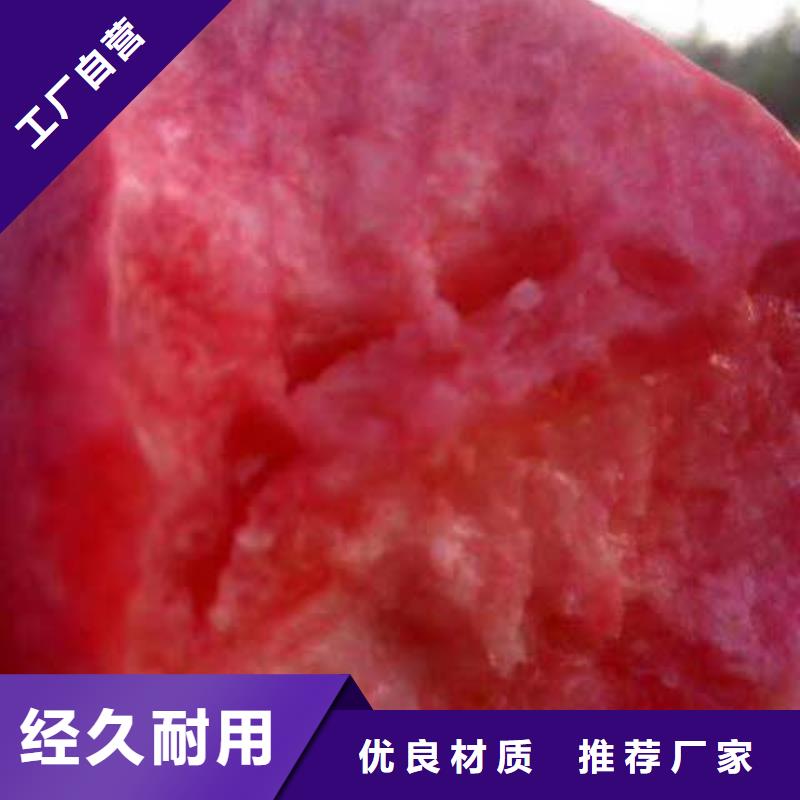 桃樹規(guī)格種類詳細介紹品牌
