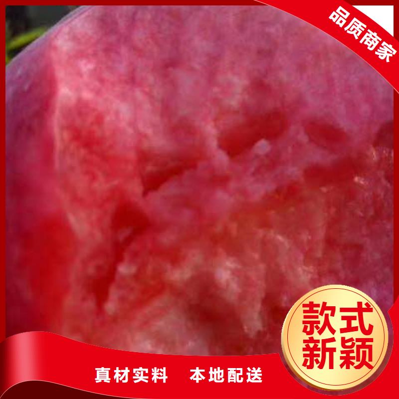 桃樹廠家，規(guī)格全