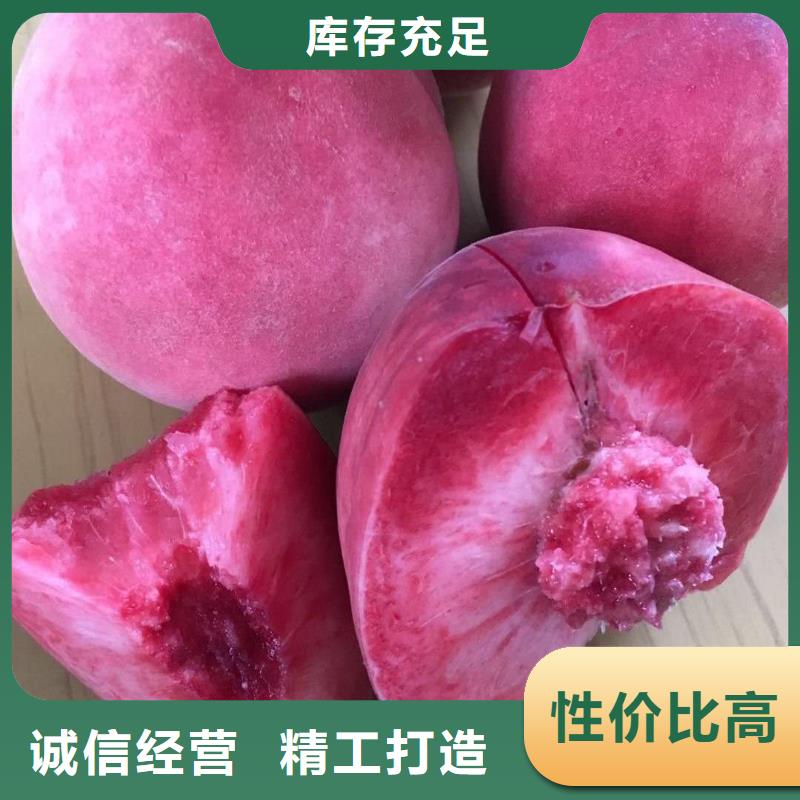 桃樹一站式服務(wù)