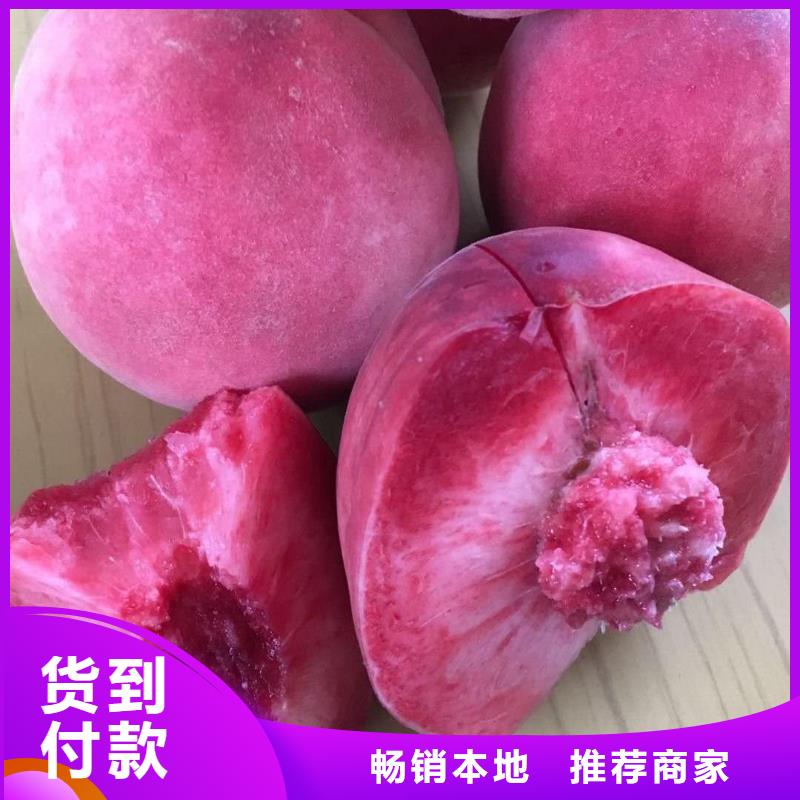 桃樹、桃樹廠家—薄利多銷實(shí)力派廠家