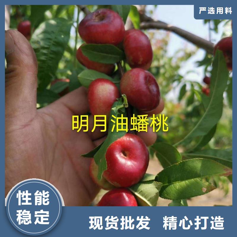 桃樹、桃樹廠家直銷-找潤(rùn)鑫苗木種植銷售中心當(dāng)?shù)貜S家